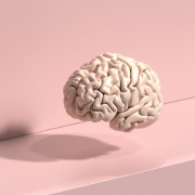 Karşıyaka Psikolog Olarak 7/24 Hizmet Vermekteyiz